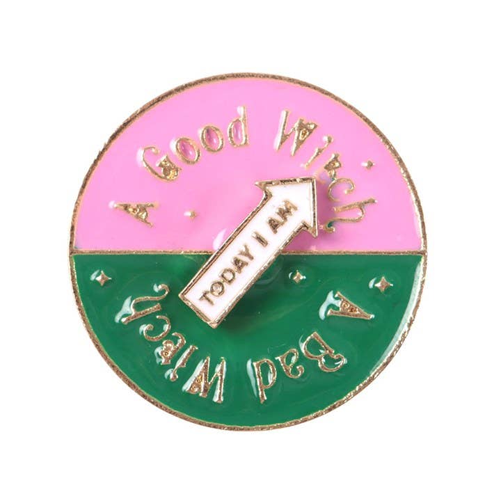 Which Witch Are You? Spinning Pin Badge Something Different Wholesale