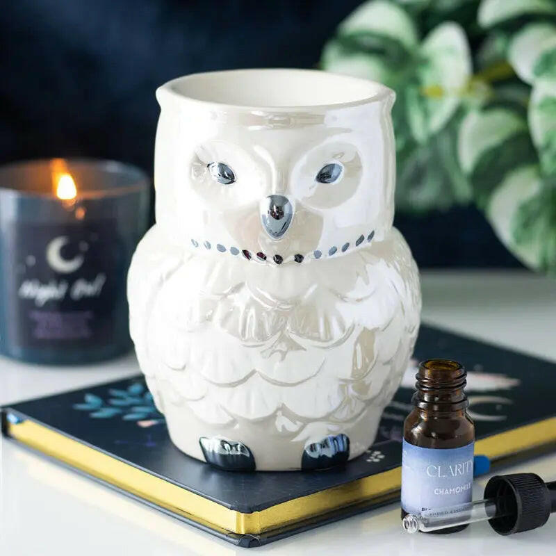 Iridescent Owl Oil Burner and Wax Warmer My Store