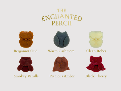 The Enchanted Perch - 10g Owl Wax Melts Hex & Boon