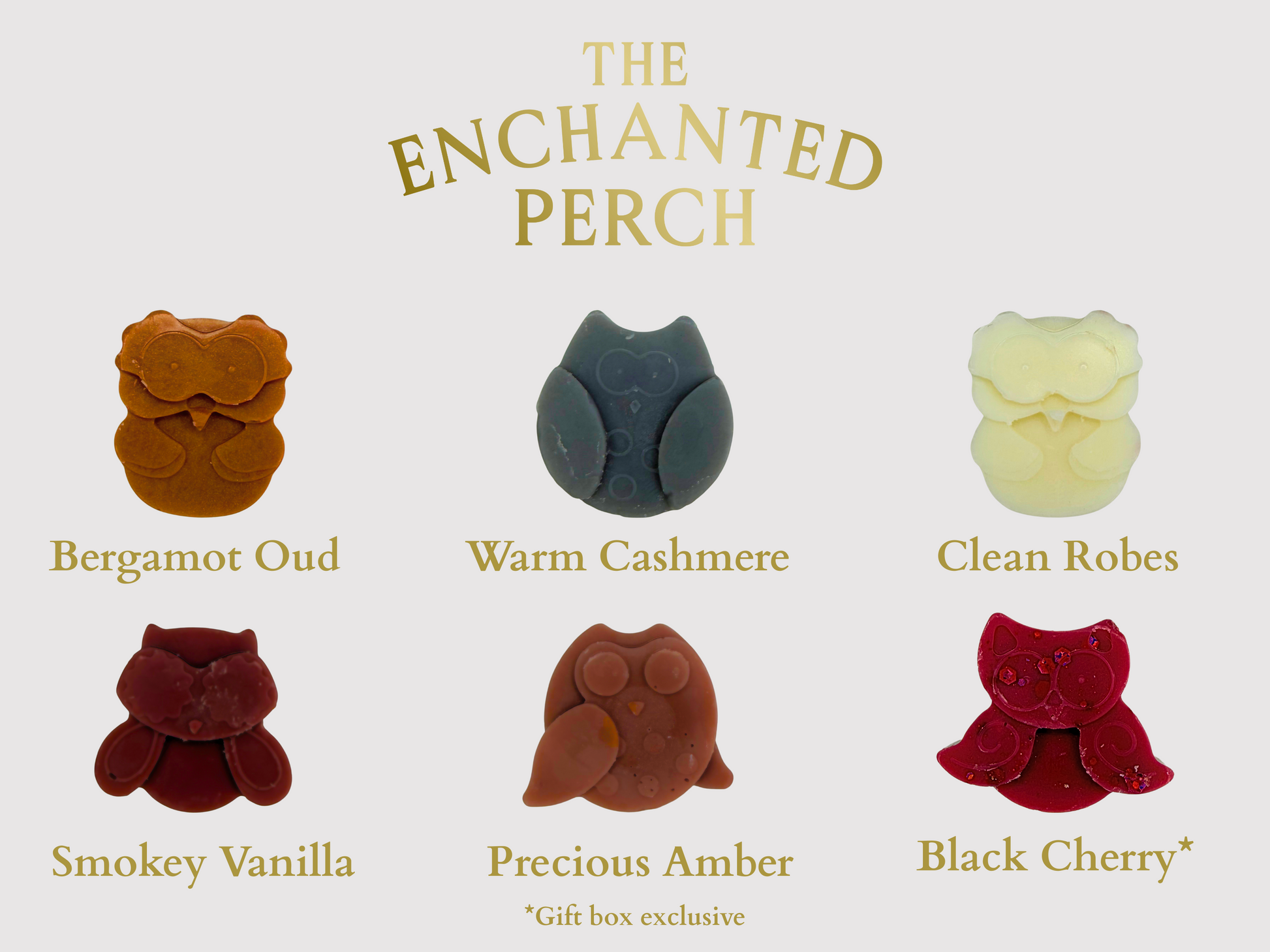 The Enchanted Perch Collection Box Hex & Boon