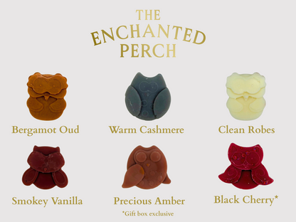 The Enchanted Perch Collection Box Hex & Boon